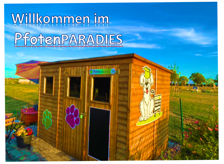 Pfotenparadies
