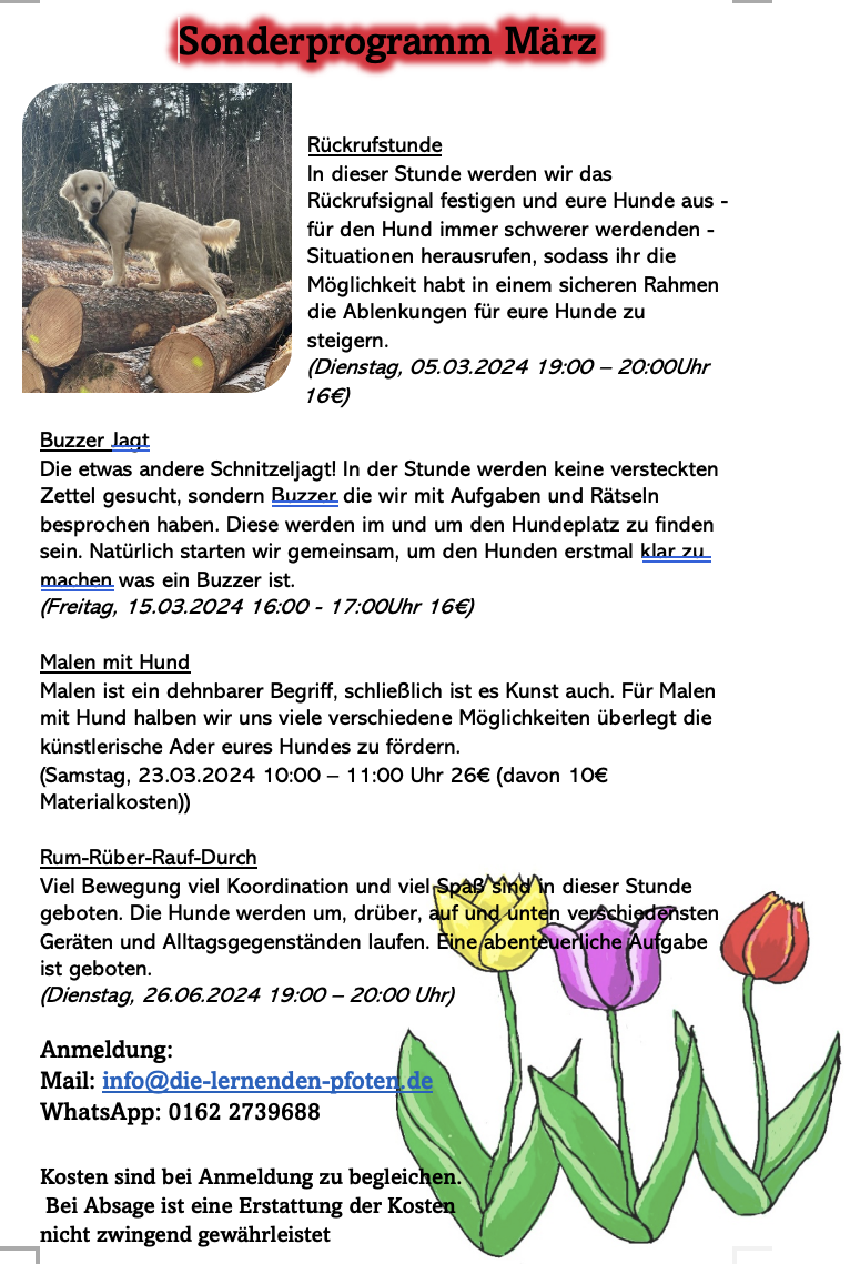 Flyer Marzprogramm