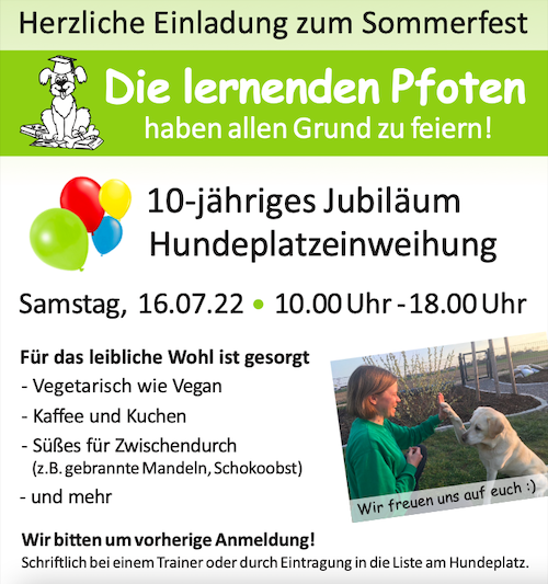 Flyer SF1